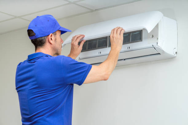 Best Home Air Vent Cleaning  in Lake Linden, MI